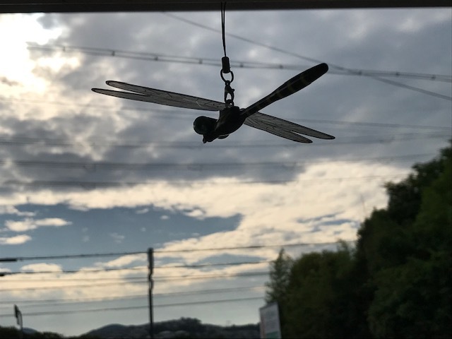 250613.jpg