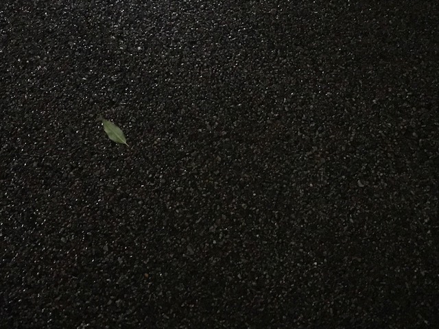 250807.jpg