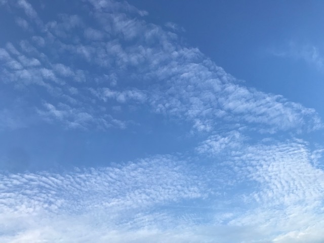 250922.jpg