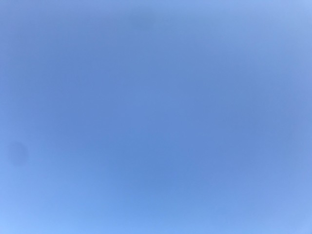 260516.jpg