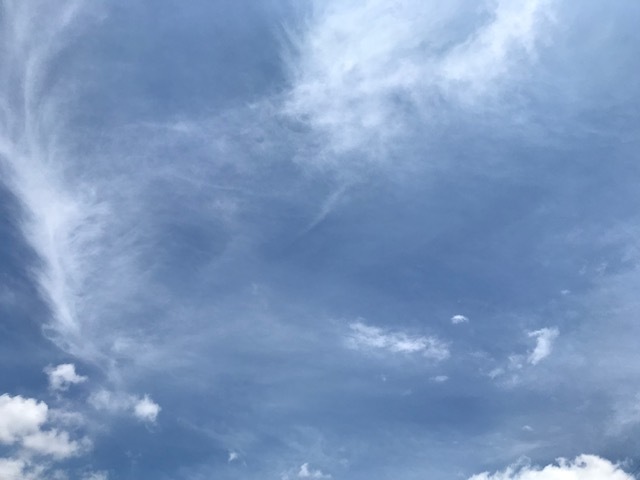 260710.jpg