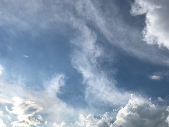 260821.jpg